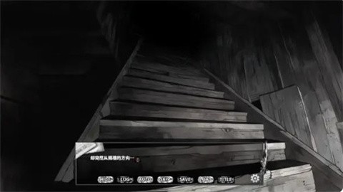 啮齿动物No44观察记录完整版