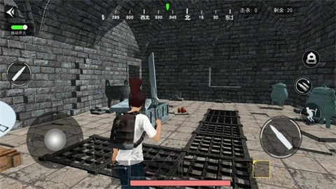 古墓迷途正式版