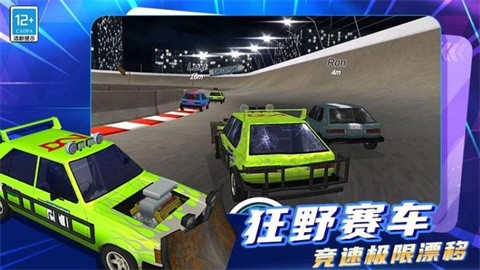 疯狂碰碰车3D (2)