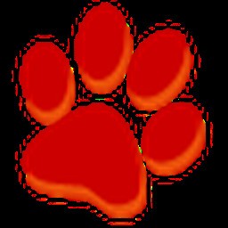 大猫影视无广告版