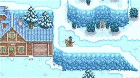 星露谷物语数数魔改版 (4)