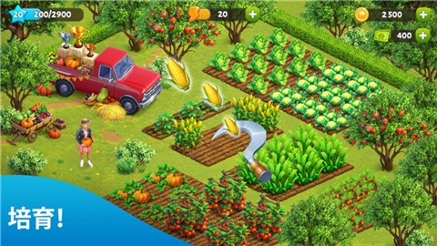 SpringValley游戏最新版