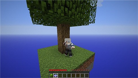 随机空岛生存 (3)