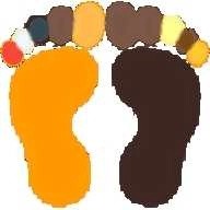 拉菲影院2026最新版