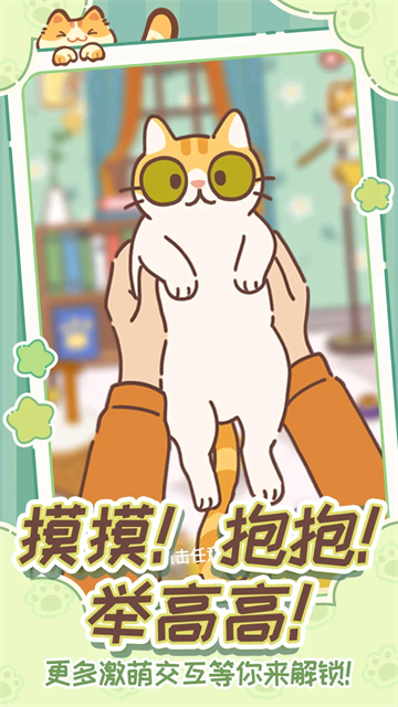 领养一只流浪猫 (3)