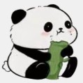 小熊猫插件超自然4.9