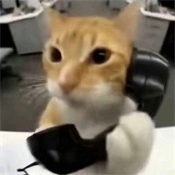 橘猫三角洲自动跑刀最新版