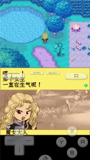 牧场物语精灵驿站攻略完全版