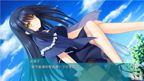 夏日口袋流光蓝 (3)