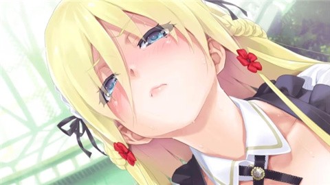 美少女万华镜3 (1)