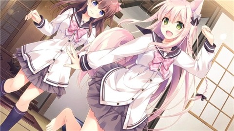 兽娘育成方案 (2)