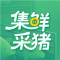 集鲜采猪最新版
