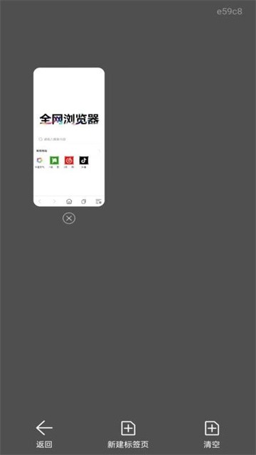 全网浏览器 (3)