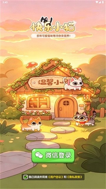 快乐小猫 (1)