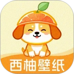 西柚壁纸app最新版