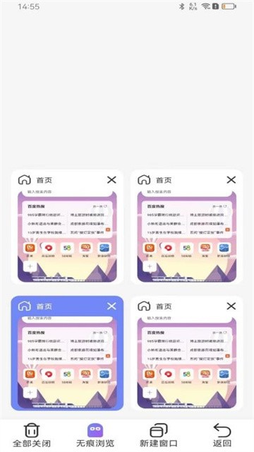 全速浏览器 (5)