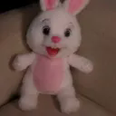 魔法兔子恐怖游戏