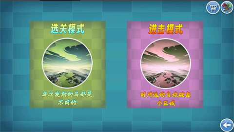 我的鸟随机 (3)
