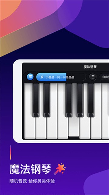钢琴弹奏大师 (3)