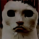 猫猫惊魂最新版