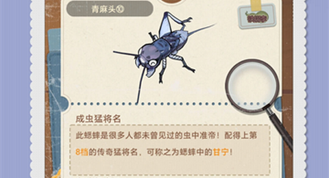 沉默的蟋蟀最新版