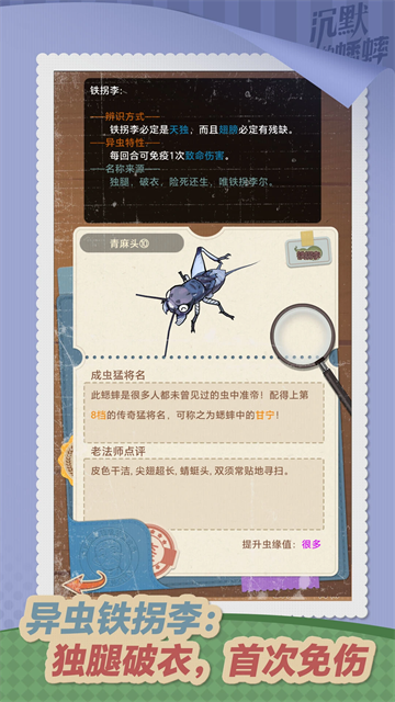 沉默的蟋蟀 (3)