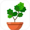 植物日记游戏