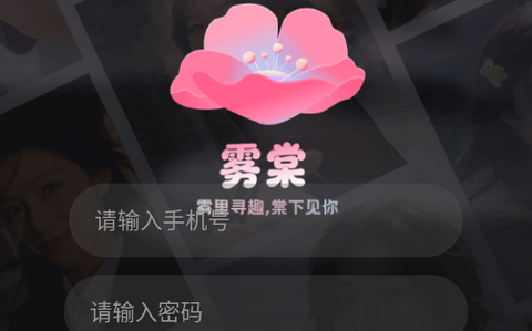 雾棠最新版