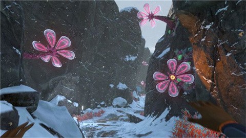美丽水世界 (3)
